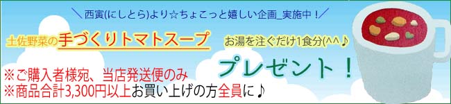 トマトスーププレゼント3300円限定　トップ